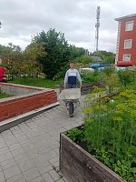 Урожаю быть!  В центре «Надежда» бурно кипит работа на грядках